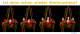 Titelbild